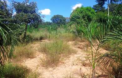 Imagem 15: FAZENDA 5 ALQUEIRES TERRA DE CULTURA COCALZINHO GOIAS