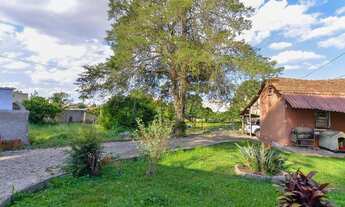 Imagem 2: Área para alugar, 4877 m² por R$ 30.000,00/mês - Novo Mundo - Curitiba/PR