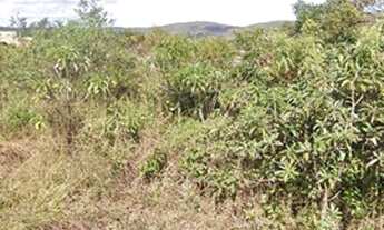 Imagem 6: Venda Commercial / Land Lot Nova Lima MG