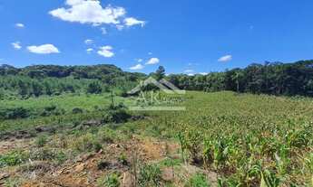Imagem 3: Área de terras magnífica em Nova Petrópolis na serra gaúcha