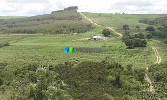 Imagem: MEDEIROS - Fazenda - Zona Rural