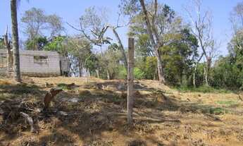 Imagem 2: Vendo Terreno Santa Branca com 1.745m2 - Oportunidade