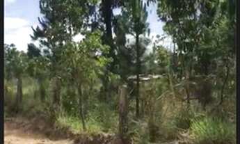 Imagem 3: Terreno enorme Chácara com venda por R$35.000