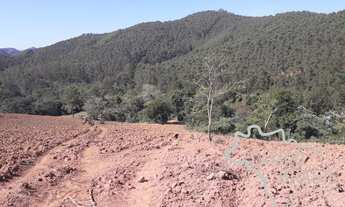 Imagem 7: ÁREA RURAL 5 ALQUEIRES EM JAMBEIRO!