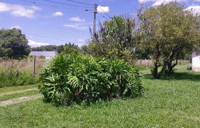 Imagem 5: Fazenda para Venda em Itupeva, Medeiros