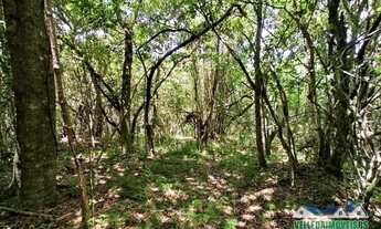 Imagem 4: Sitio 4 hectares em águas claras com vista de tirar o fôlego, casa, galpão e açude, arbori