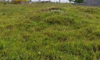 Imagem 5: Terreno pé na areia bem grande, muito próximo a praia