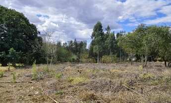 Imagem 5: área - Sítio Recreio dos Cafezais - Valinhos