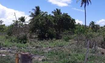 Imagem 7: Terreno no Povoado Gameleira/ Areia Branca - Mosqueiro