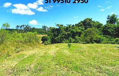 Imagem 5: ÚLTIMO SÍTIO COM ESCRITURA E PARCELAMENTO DIRETO