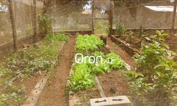 Imagem 5: Chácara com 5 dormitórios à venda, 27000 m² por R$ 1.150.000,00 - Zona Rural - Anápolis/GO