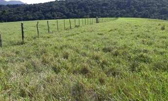 Imagem 4: Fazenda com 172,06 Ha em Laje