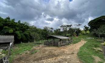 Imagem 2: Fazenda para venda com 1.206.720 M2 - 49 Alqueires - Ideal para criação de gado, há bastan