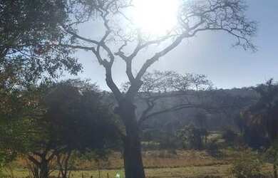 Imagem 6: SETE LAGOAS - Fazenda - Centro