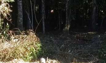 Imagem 6: Terreno Mariscal Bombinhas