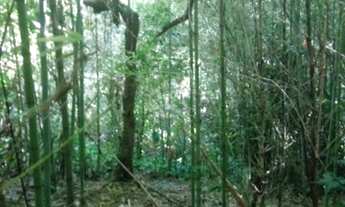 Imagem 7: Porto Alegre - Terreno Padrão - Nonoai