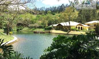 Imagem: Terreno residencial à venda, Salvaterra