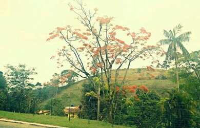 Imagem 5: Pronto para morar, zero de entrada