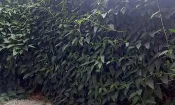 Imagem 7: APTO COM QUINTAL PRIVATIVO