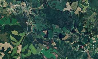 Imagem: Chácara em Carambeí 10,96 hectares