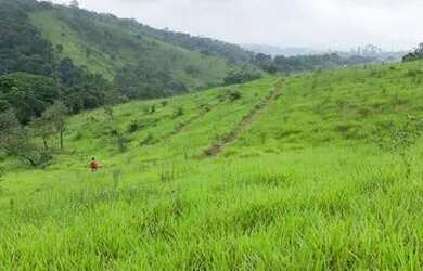 Imagem 6: LOTE DE 500 A 700 METROS COM ÁREA VERDE '