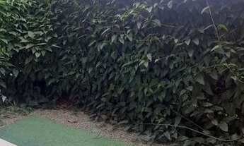 Imagem 3: APTO COM QUINTAL PRIVATIVO