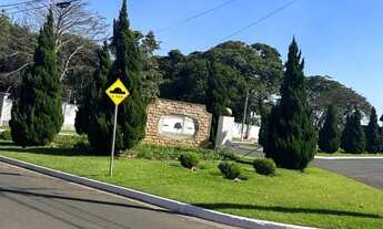 Imagem 6: Terreno à venda, 470 m² por R$ 470.000 - Jardim Botânico - São José do Rio Preto/SP