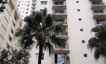 Imagem 4: Apartamento com 200, sendo 2 dormitórios, 1 vaga de garagem, em Moema pássaros