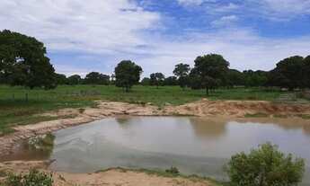 Imagem: FAZENDA RELIQUUA