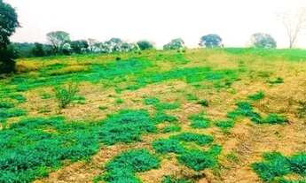 Imagem 3: 03a-PSBI20 Terreno / lote com venda por R$60.000