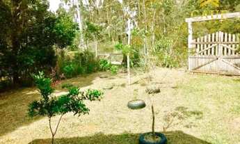 Imagem 4: Sítio 3000m², c/ casa de madeira, mata nativa, poço e luz