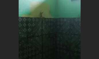 Imagem 7: Kitnet para alugar