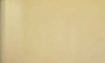 Imagem 6: Pousada Recanto Harmonia Olímpia SP