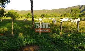 Imagem 4: Fazenda 204 Alqueires (987 Hectares) em Natividade - TO