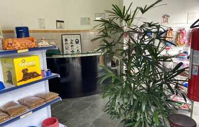 Imagem 2: Vende-se petshop com banho e tosa