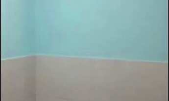 Imagem 5: Casa 2/4 com suíte Brotas