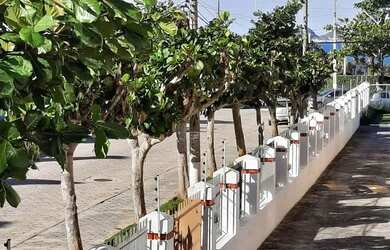 Imagem 6: Apto mensal até novembro