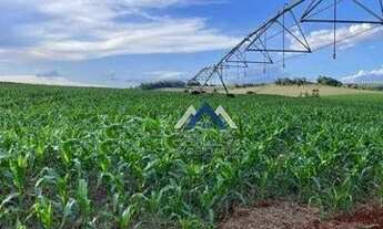Imagem 4: Fazenda à venda, 15730000 m² por R$ 195.000.000,00 - Área Rural de Presidente Prudente - P