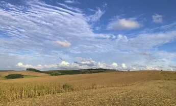Imagem 6: Porto Amazonas-Plantando 95 Alqueires - 389 Hectares - Sede Completa