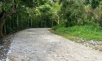 Imagem 5: Lotes Na Serra A 2Km Do Centro Do Pacoti E 07 De Guaramiranga Vem Para Esse Paraiso. n°:A