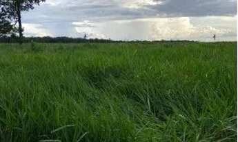 Imagem 3: Fazenda à venda, 12000000 m² por R$ 42.000.000 - Zona Rural - Alta Floresta/MT