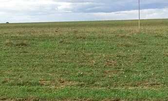 Imagem: R$120 Milhões 420 alqueires em Itaruma-GO