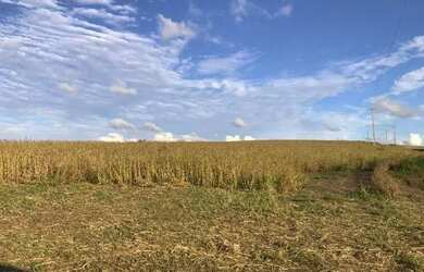 Imagem 7: Porto Amazonas-Plantando 95 Alqueires - 389 Hectares - Sede Completa