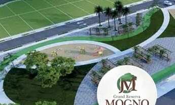 Imagem 5: Opções para venda