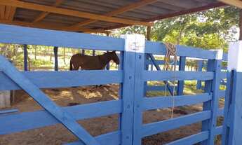 Imagem 6: Fazenda Minas Gerais Buritis