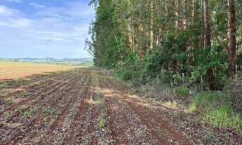 Imagem: Vendo Chácara