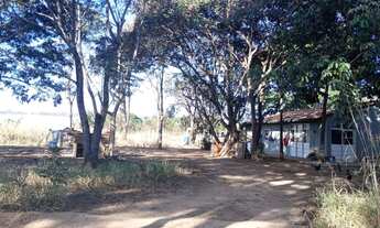 Imagem 2: Lote Planaltina DF Arapoangas