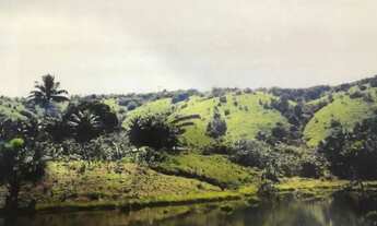 Imagem: /Vendo terreno com 270 hectares na BR 174