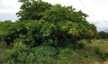 Imagem 7: Sítio praia do abais excelente localização