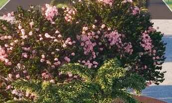 Imagem 6: Agio de lote no Jardins Genebra no bairro Paranoá - Brasília - DF